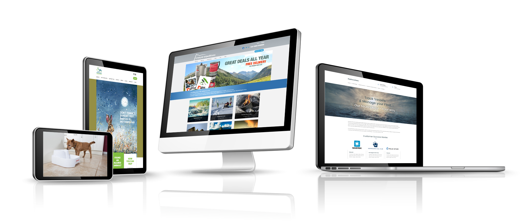 Web design Somerset